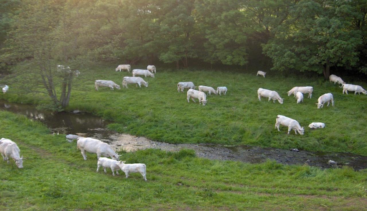 Betzemuehle 1 Bauernhof